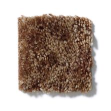 Shaw Floors Dynamics Amber Bark 52606_00705