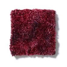 Shaw Floors Dynamics Ruby Quartz 52606_00800