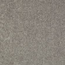Shaw Floors Shaw Flooring Gallery Ellendale 12′ Ink Spot 00501_5273G