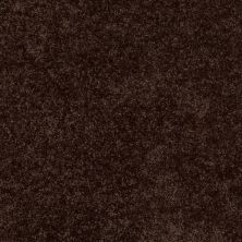 Shaw Floors Shaw Flooring Gallery Ellendale 12′ Walnut 00705_5273G