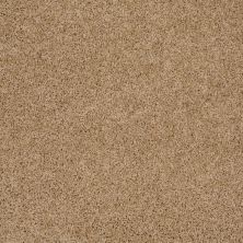 Shaw Floors Shaw Flooring Gallery Woodsboro Filoli Honey 00201_5278G