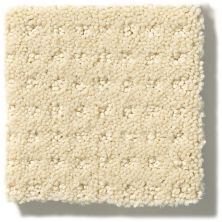 Shaw Floors Shaw Flooring Gallery Made To Be Yours Airy White 5282G_00100
