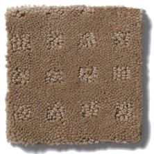 Shaw Floors Shaw Flooring Gallery Made To Be Yours Perfect Beige 5282G_00703