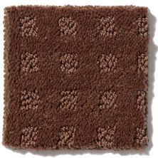 Shaw Floors Shaw Flooring Gallery Made To Be Yours Mocha Chip 5282G_00706
