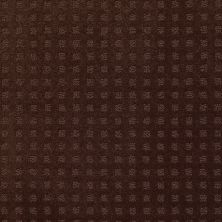 Shaw Floors Shaw Flooring Gallery Made To Be Yours Tree Bark 00707_5282G