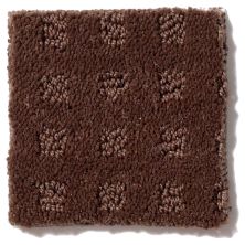 Shaw Floors Shaw Flooring Gallery Made To Be Yours Tree Bark 5282G_00707