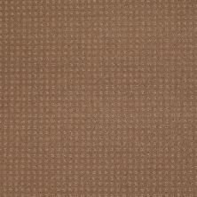 Shaw Floors Shaw Flooring Gallery Colorful Fun Townhouse Taupe 00705_5283G