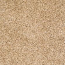 Shaw Floors Shaw Flooring Gallery Colesville 12′ Light Aspiration 00101_5294G