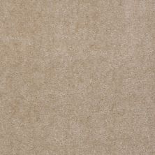Shaw Floors Hawkeye II Old Leather 00150_52A35