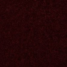 Shaw Floors Hawkeye II Wineberry 00811_52A35