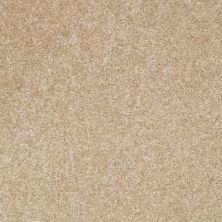 Shaw Floors Shaw Floor Studio Textured Collection Crisp Linen 00702_52B69