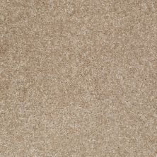 Shaw Floors Instant Winner Soft Suede 00706_52E28