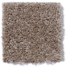 Shaw Floors Instant Winner Soft Suede 52E28_00706