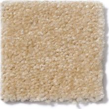 Shaw Floors This Is It Evening Beige 52E51_00104
