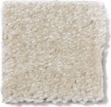 Shaw Floors This Is It Quiet Beige 52E51_00114