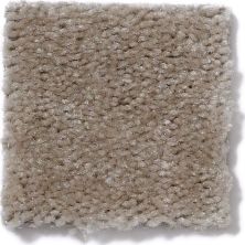 Shaw Floors This Is It Ladys Choice 52E51_00116
