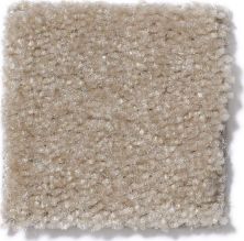 Shaw Floors This Is It Basketry 52E51_00117