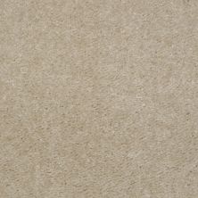 Shaw Floors This Is It Earth Beige 00118_52E51