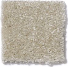 Shaw Floors This Is It Earth Beige 52E51_00118