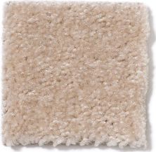 Shaw Floors This Is It Honey Graham 52E51_00151