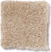 Shaw Floors This Is It Hay Field 52E51_00152