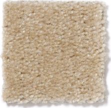 Shaw Floors This Is It Ermine Fur 52E51_00153