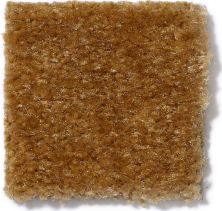 Shaw Floors This Is It Golden Tint 52E51_00200