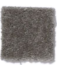 Shaw Floors This Is It Prussian 52E51_00503