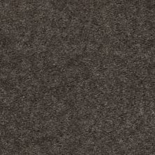 Shaw Floors This Is It Thunder Grey 00595_52E51