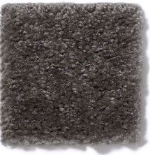 Shaw Floors This Is It Thunder Grey 52E51_00595