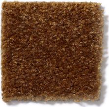 Shaw Floors This Is It Brown Sugar 52E51_00700