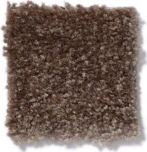 Shaw Floors This Is It Spare Brown 52E51_00704