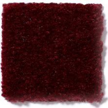 Shaw Floors This Is It French Berry 52E51_00802