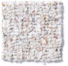 Shaw Floors Pure Waters 12 Clam Shell 52H10_00102