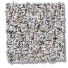 Shaw Floors Pure Waters 15 Tweed 52H11_00300