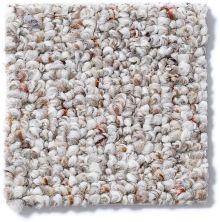 Shaw Floors Pure Waters 15 Crumb Cake 52H11_00700