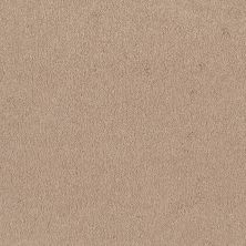 Shaw Floors Everyday Comfort (s) Popcorn 00116_52P07