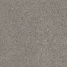Shaw Floors Everyday Comfort (s) Antique Pewter 00510_52P07