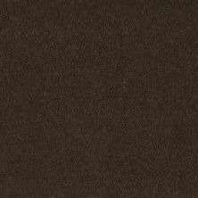 Shaw Floors Everyday Comfort (s) Brown Sugar 00708_52P07