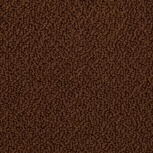 Shaw Floors Traditional Elegance Fudge 00707_52P13