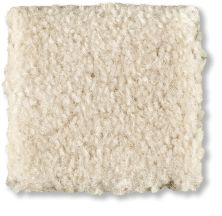 Shaw Floors Optimum Wool Skin 52Q59_00143