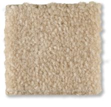 Shaw Floors Optimum Shadow 52Q59_00743