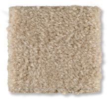 Shaw Floors Optimum Warm Stone 52Q59_00744