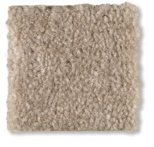 Shaw Floors Optimum Rockport 52Q59_00751