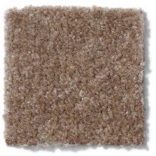 Shaw Floors Optimum Cobble Hill 52Q59_00753