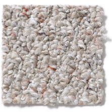 Shaw Floors Rivershed 12′ Cliff Side 52R22_00702