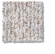 Shaw Floors Nottoway 12′ Pebble Beach 52R26_00701