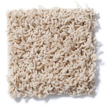 Shaw Floors Striker New Pastry 52R36_00105