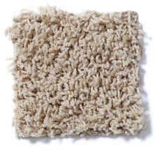 Shaw Floors Striker Wild Straw 52R36_00106