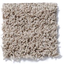 Shaw Floors Striker Birch Bark 52R36_00107